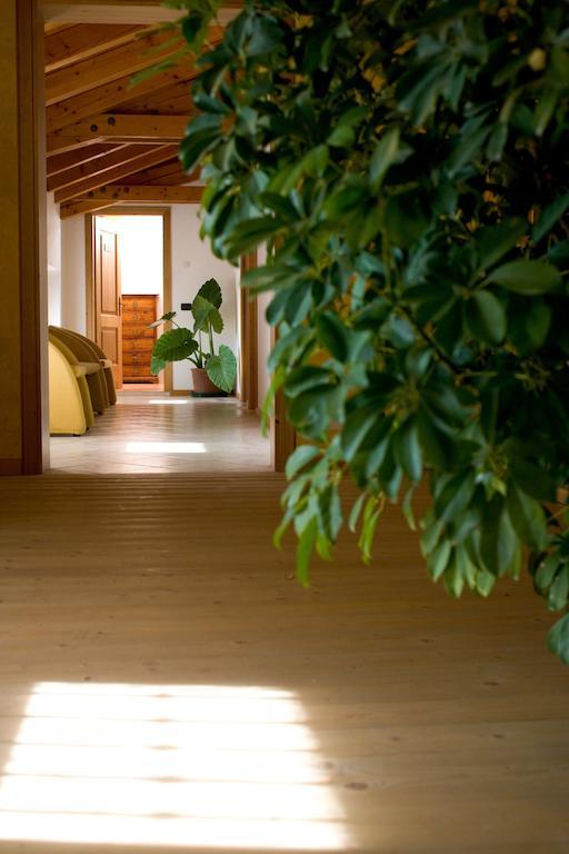 Agriturismo Al Casale Codroipo Zewnętrze zdjęcie