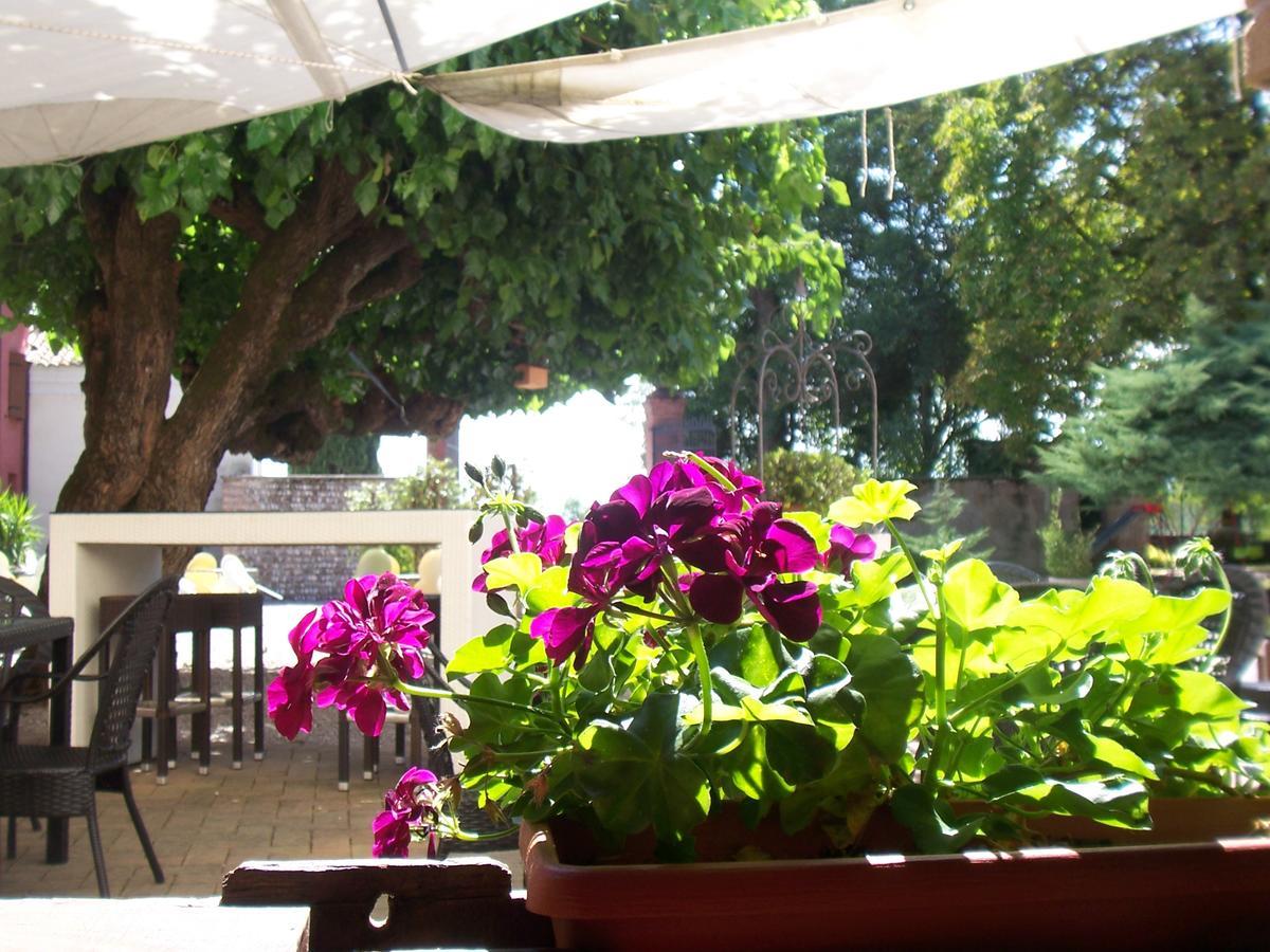 Agriturismo Al Casale Codroipo Zewnętrze zdjęcie