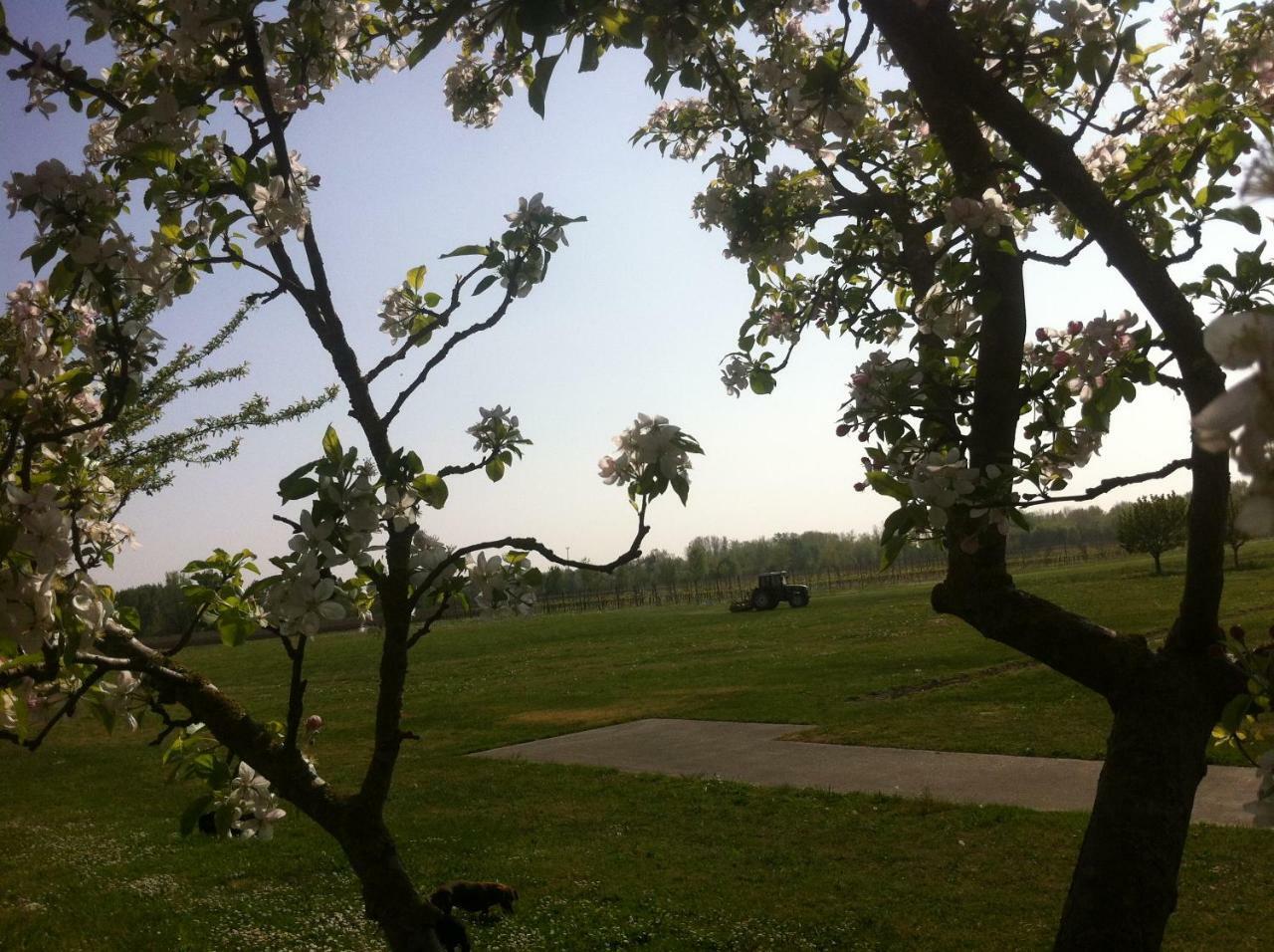 Agriturismo Al Casale Codroipo Zewnętrze zdjęcie